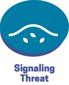 SignalingThreat